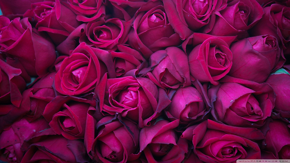 メインフラワー1