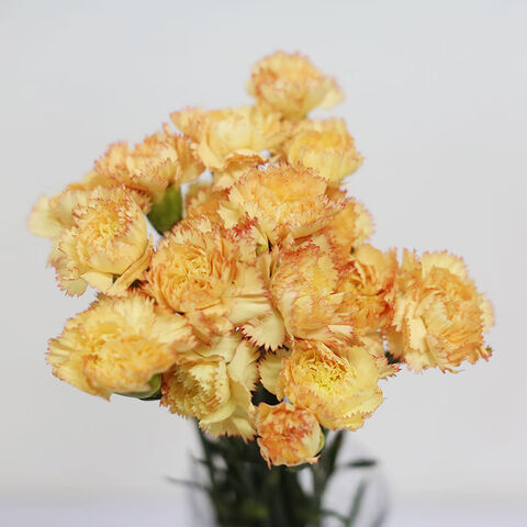 黄色を基調とした花束